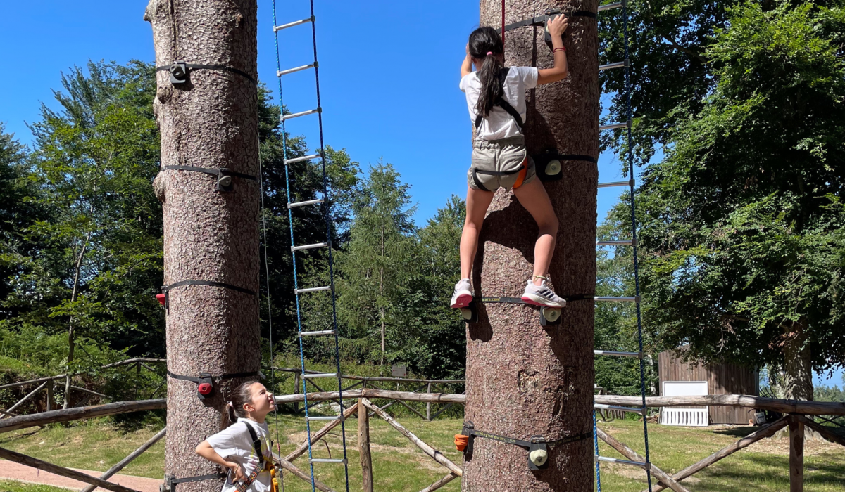 #MottaroneDay: tree climbing free of charge at the Mottarone Adventure Park