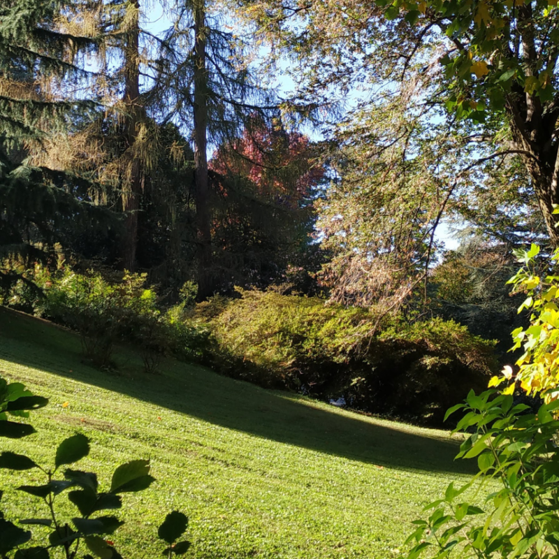 Profumo d’autunno con la castagnata di Parco Pallavicino